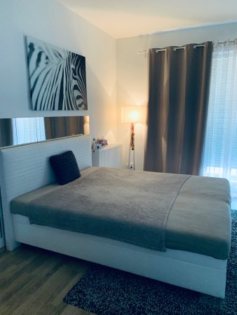 Volný pokoj Olomouc