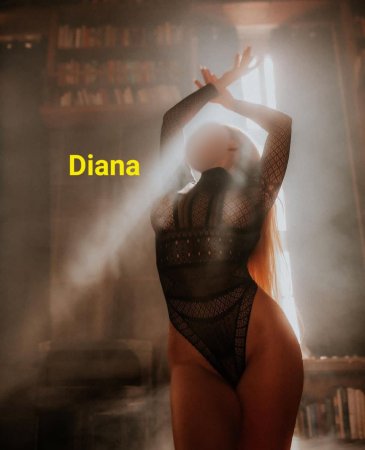 st 7.1.NOVÁ Diana SLEVA